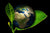 Green Living Planet