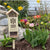 Pollinator House - Bees, Butterflies, Ladybugs, Insects